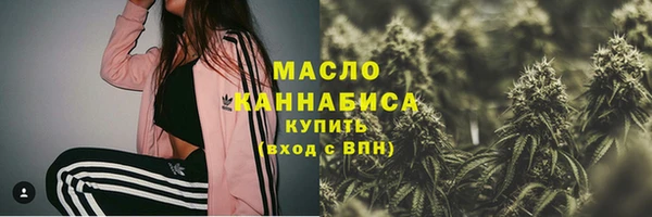 дмт Туринск