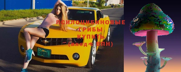 гидропоника Новокубанск