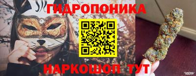 apvp Дубна