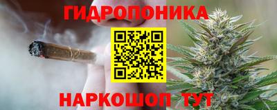 apvp Дубна