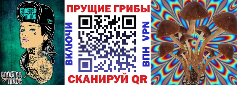 Псилоцибиновые грибы MAGIC MUSHROOMS  Мирный 